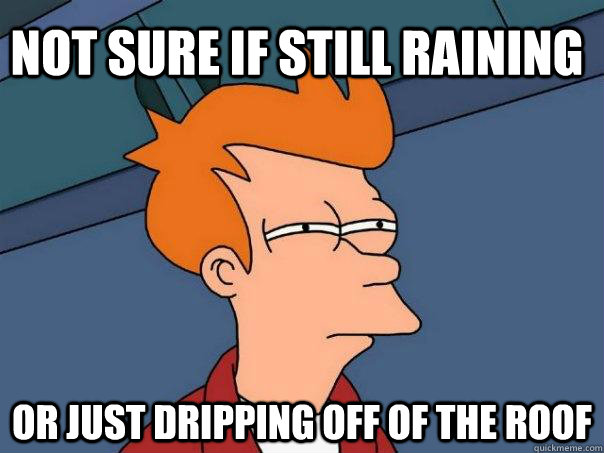 Not sure if still raining Or just dripping off of the roof  Futurama Fry