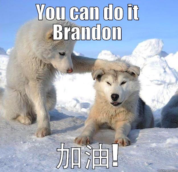 YOU CAN DO IT BRANDON 加油! Caring Husky