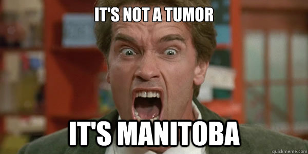 It's not a tumor It's Manitoba  Arnold Schwarzenegger Its Not A Tumor