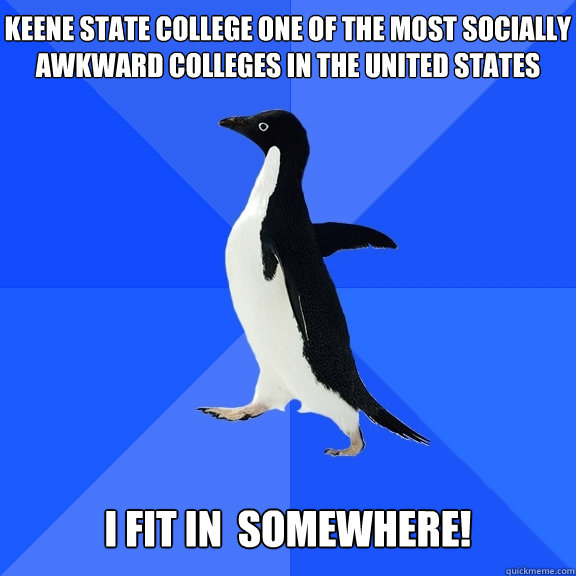 Keene State College one of the most socially awkward colleges in the United States   I fit in  somewhere!   Socially Awkward Penguin