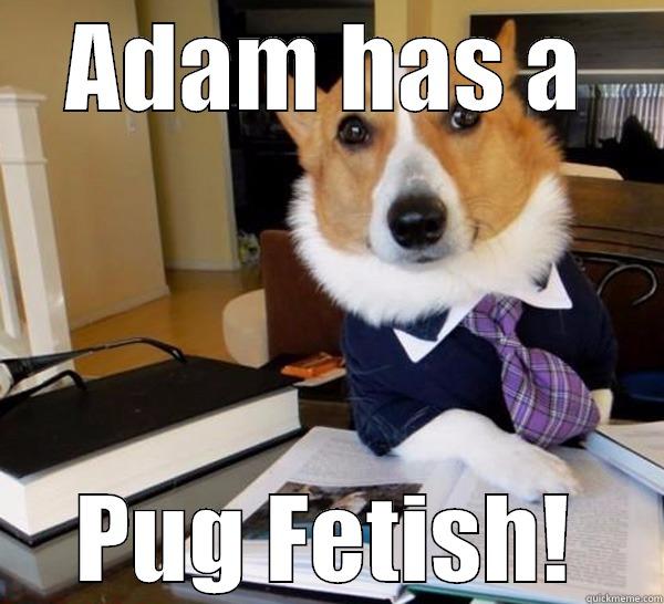 Nikki, something you need to know - ADAM HAS A PUG FETISH! Lawyer Dog