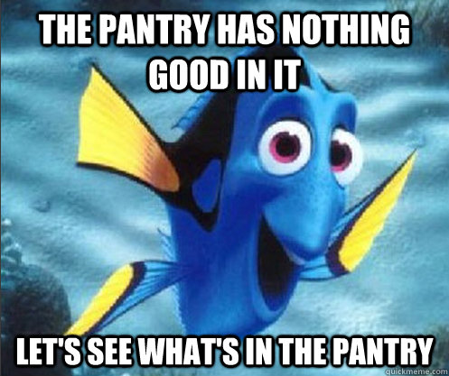 The pantry has nothing good in it Let's see what's in the pantry  optimistic dory