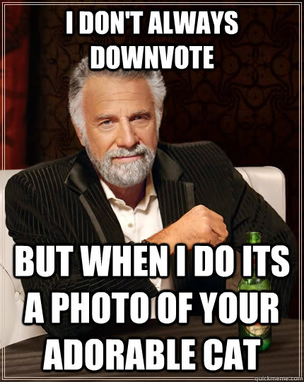 I don't always downvote But when i do its a photo of your adorable cat   The Most Interesting Man In The World