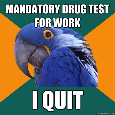 mandatory drug test for work i quit  Paranoid Parrot