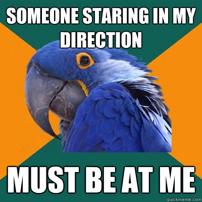 Someone staring in my direction must be at me  Paranoid Parrot