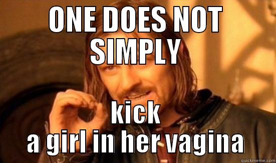 ONE DOES NOT SIMPLY KICK A GIRL IN HER VAGINA Boromir