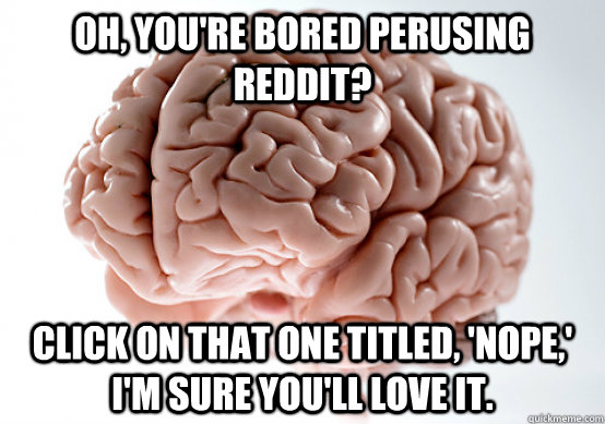 Oh, you're bored perusing Reddit? click on that one titled, 'NOPE,' I'm sure you'll love it.  Scumbag brain on life