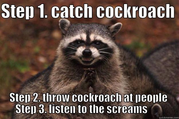 STEP 1. CATCH COCKROACH  STEP 2. THROW COCKROACH AT PEOPLE STEP 3. LISTEN TO THE SCREAMS        Evil Plotting Raccoon