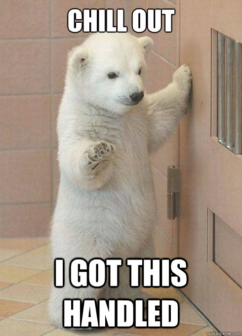 chill out I got this handled - chill out I got this handled  chill polar bear