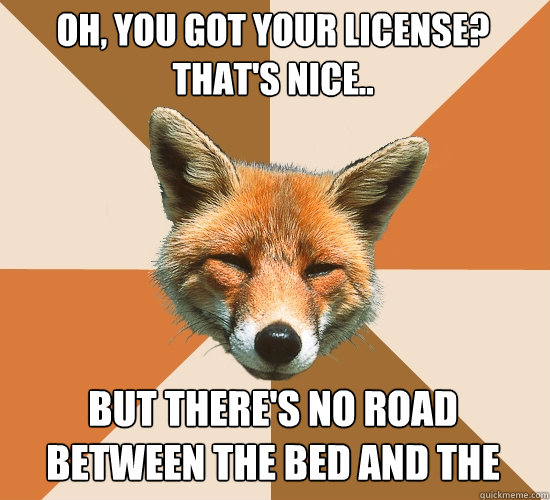 Oh, you got your license? That's nice.. But there's no road between the bed and the kitchen.  Condescending Fox