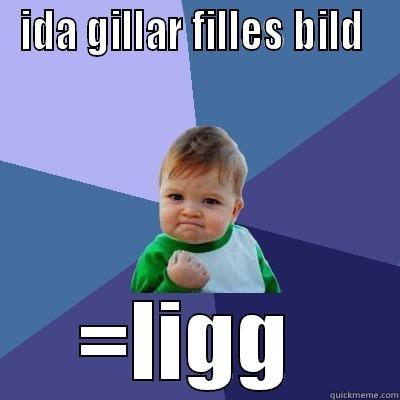 IDA GILLAR FILLES BILD  =LIGG  Success Kid