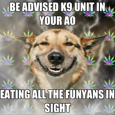 BE ADVISED K9 UNIT IN YOUR AO EATING ALL THE FUNYANS IN SIGHT  Stoner Dog