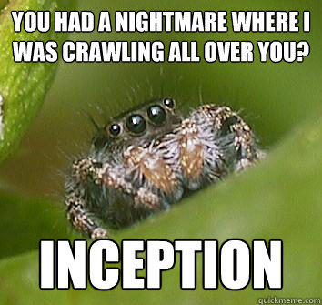 You had a nightmare where i was crawling all over you? INCEPTION  Misunderstood Spider