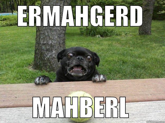 ERMAHGERD MAHBERL Berks Dog