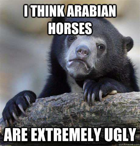 I Think Arabian Horses Are extremely Ugly - I Think Arabian Horses Are extremely Ugly  Confession Bear