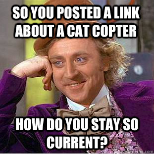So you posted a link about a cat copter How do you stay so current?  Condescending Wonka