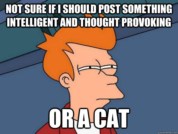 Not sure if I should post something intelligent and thought provoking Or a cat  Futurama Fry