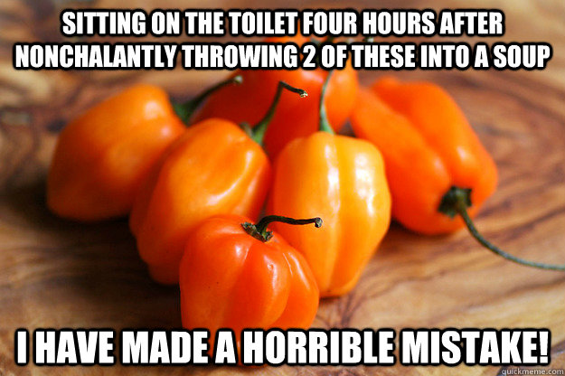 Sitting on the toilet four hours after nonchalantly throwing 2 of these into a soup I have made a horrible mistake!  Habanero Regrets