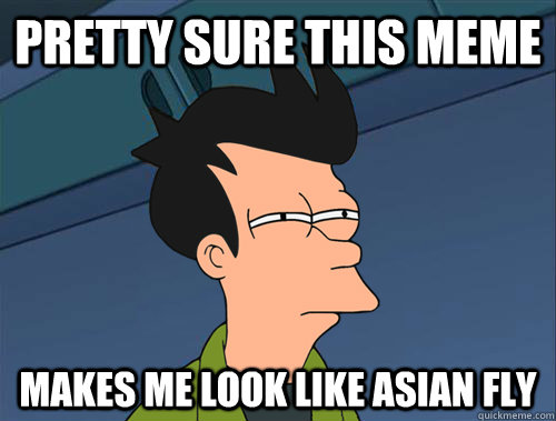 Pretty sure this meme makes me look like asian fly  Parallel Fry