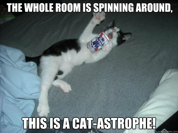  the whole room is spinning around, This is a cat-astrophe! -  the whole room is spinning around, This is a cat-astrophe!  over dramatic drunk cat