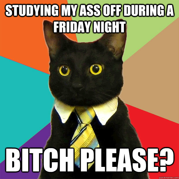 Studying my ass off during a friday night Bitch please?   Business Cat