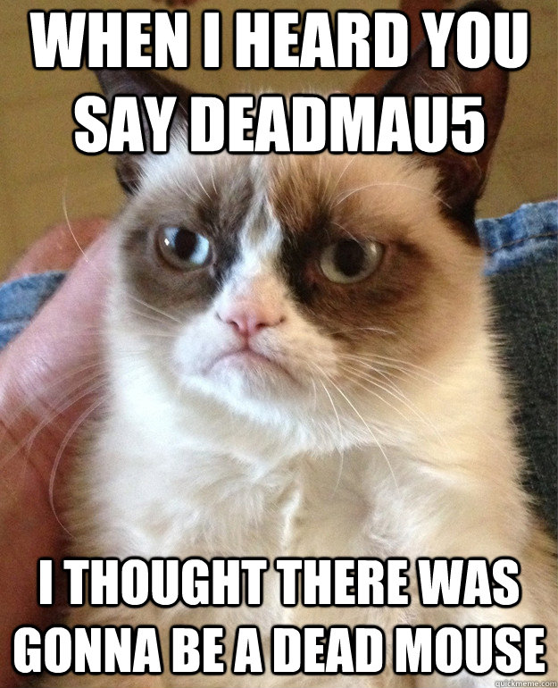 when i heard you say deadmau5 i thought there was gonna be a dead mouse  Grumpy Cat