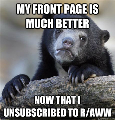my front page is much better now that i unsubscribed to r/aww  Confession Bear