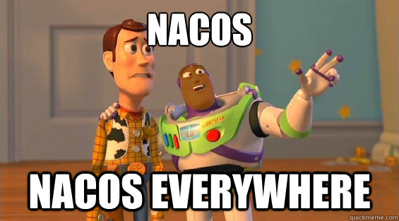 NACOS NACOS EVERYWHERE  