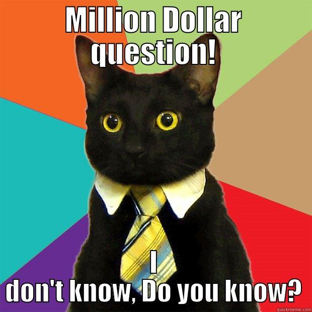 MILLION DOLLAR QUESTION! I DON'T KNOW, DO YOU KNOW? Business Cat