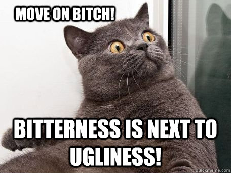MOVE ON BITCH! BITTERNESS IS NEXT TO UGLINESS!  conspiracy cat