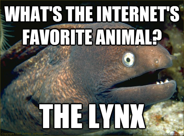 What's the internet's favorite animal? the lynx - What's the internet's favorite animal? the lynx  Bad Joke Eel