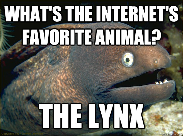 What's the internet's favorite animal? the lynx  Bad Joke Eel