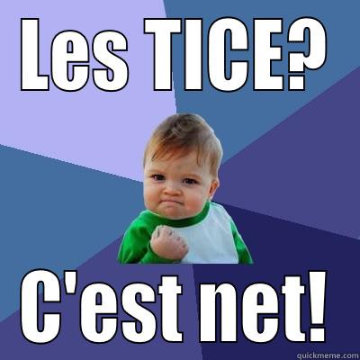 LES TICE? C'EST NET! Success Kid