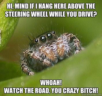 Hi, mind if i hang here above the steering wheel while you drive? Whoah!
watch the road, you crazy bitch! - Hi, mind if i hang here above the steering wheel while you drive? Whoah!
watch the road, you crazy bitch!  Misunderstood Spider