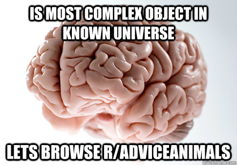 Is most complex object in known universe Lets browse r/AdviceAnimals - Is most complex object in known universe Lets browse r/AdviceAnimals  ScumbagBrain