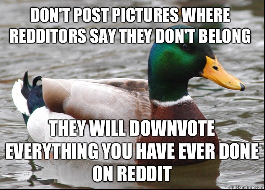 Don't post pictures where Redditors say they don't belong They will downvote everything you have ever done on Reddit  Actual Advice Mallard