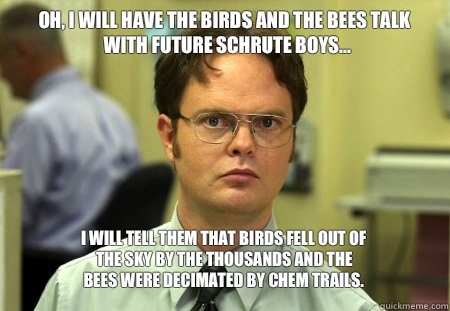 Oh, I will have the birds and the bees talk with future Schrute boys... I will tell them that birds fell out of the sky by the thousands and the bees were decimated by chem trails.   Schrute