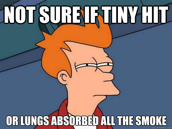 Not sure if tiny hit Or lungs absorbed all the smoke  Futurama Fry