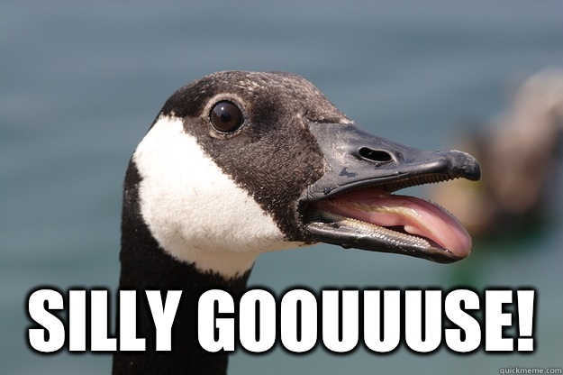  Silly Goouuuse!  
