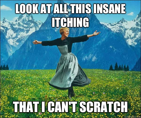Look at all this insane itching That I can't scratch - Look at all this insane itching That I can't scratch  Sound of Music