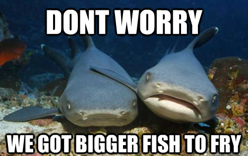 dont worry we got bigger fish to fry  Compassionate Shark Friend