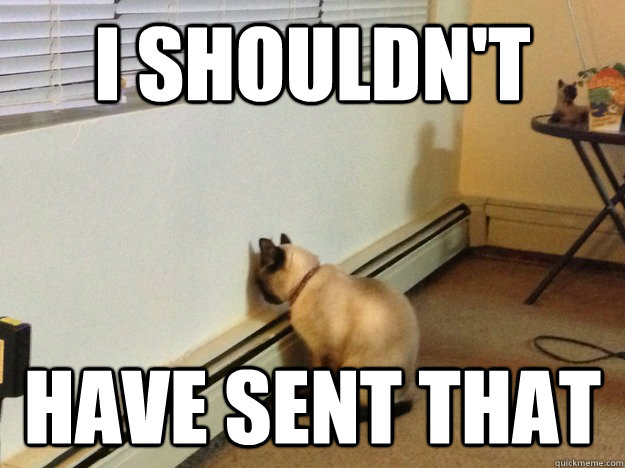 I shouldn't have sent that  Regretful Cat