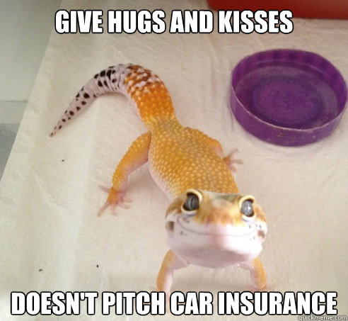 give hugs and kisses doesn't pitch car insurance - give hugs and kisses doesn't pitch car insurance  Good Guy Gecko