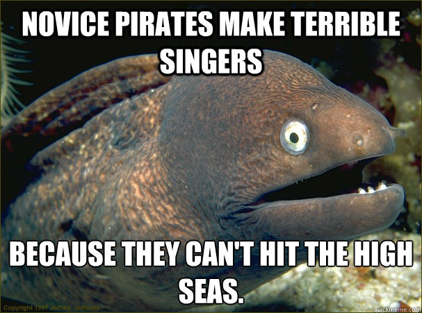 novice pirates make terrible singers because they can't hit the High seas. - novice pirates make terrible singers because they can't hit the High seas.  Bad Joke Eel