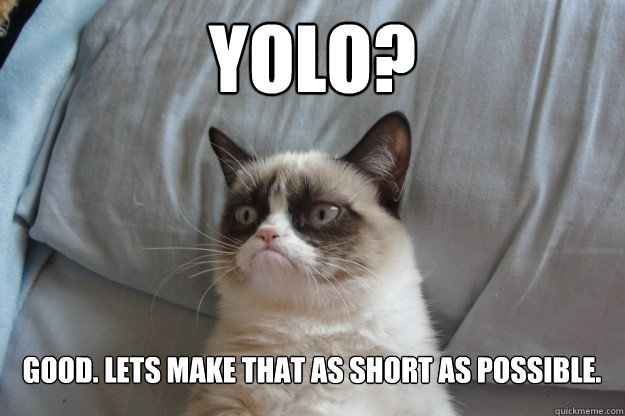 yolo? good. lets make that as short as possible.  GrumpyCatOL