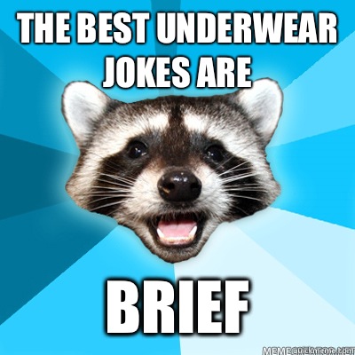 The best underwear jokes are  Brief   