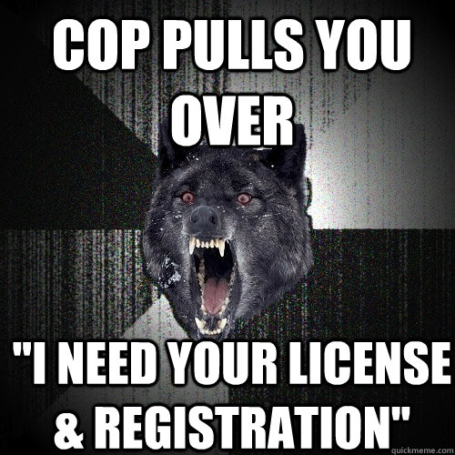 cop pulls you over 