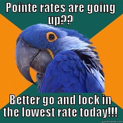 POINTE RATES ARE GOING UP?? BETTER GO AND LOCK IN THE LOWEST RATE TODAY!!! Paranoid Parrot