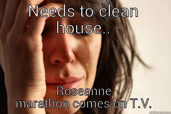 NEEDS TO CLEAN HOUSE.. ROSEANNE MARATHON COMES ON T.V. First World Problems