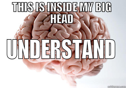 THIS IS INSIDE MY BIG HEAD UNDERSTAND Scumbag Brain